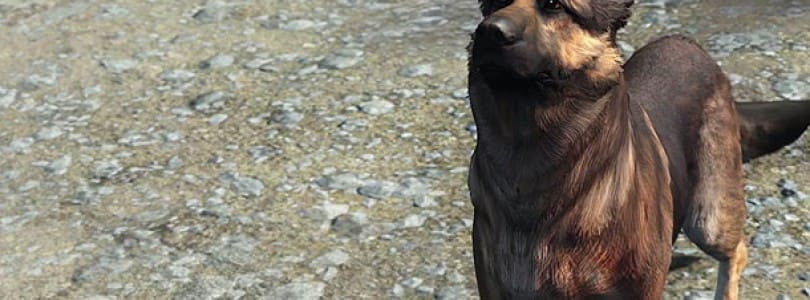 Fallout 4 Glitch Has Us Seeing Double