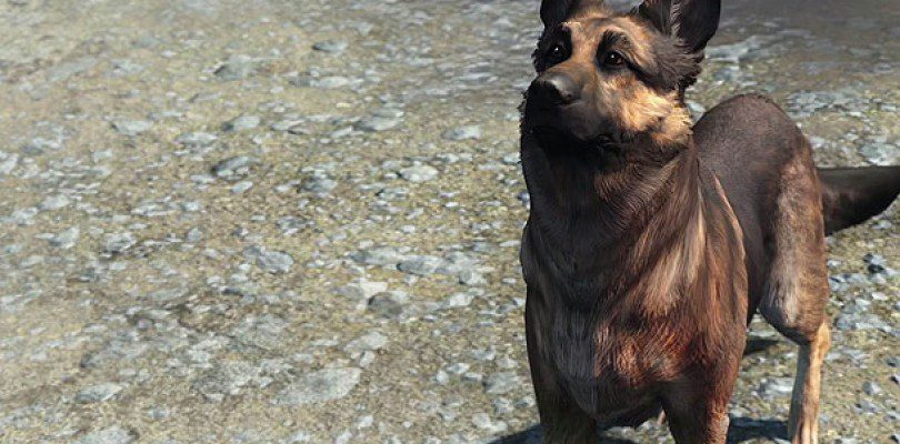 Fallout 4 Glitch Has Us Seeing Double