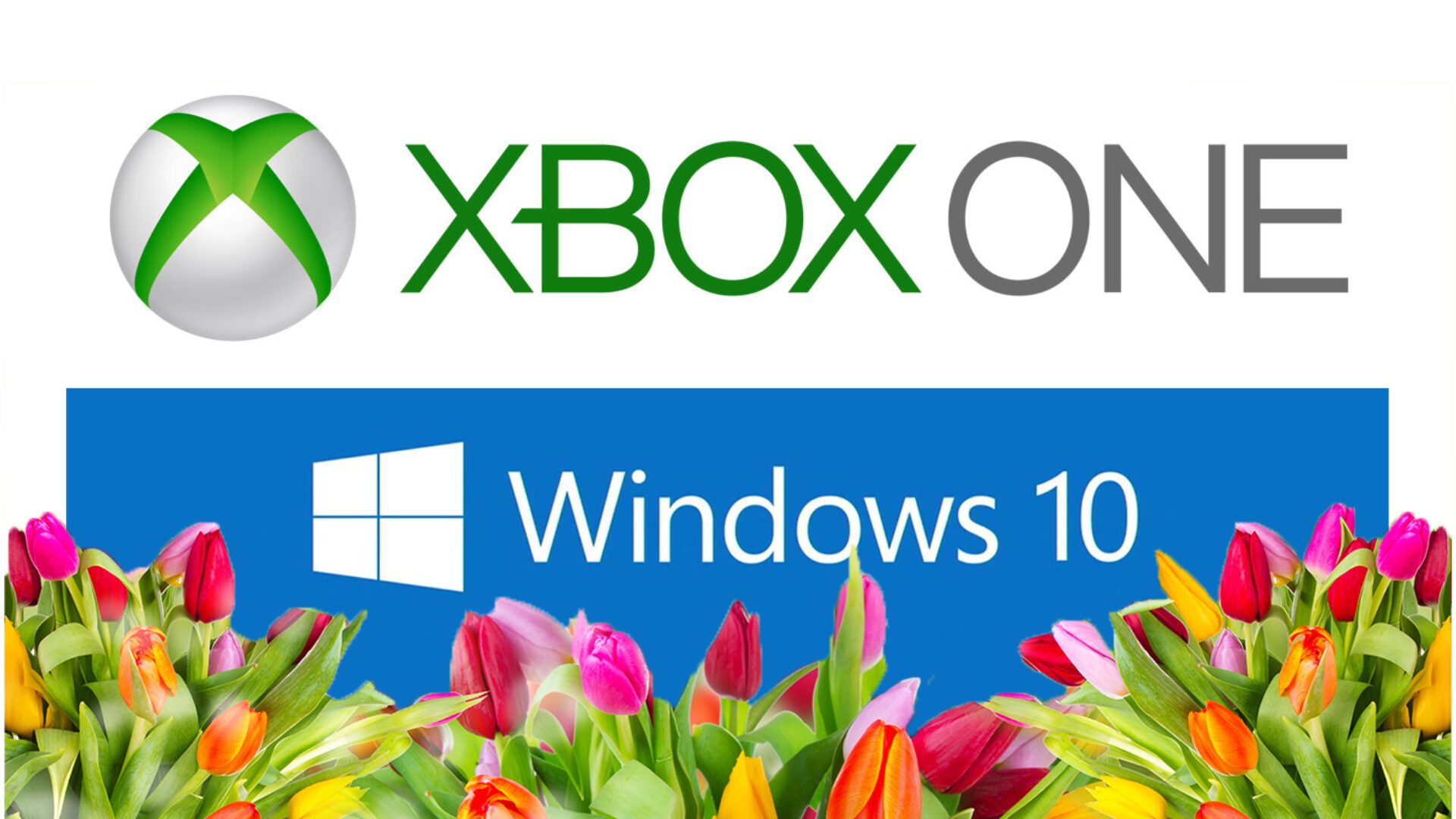 Exciting! Expect Big Experiences this Spring on Xbox One and Windows 10