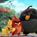 The Angry Birds Movie User Reviews