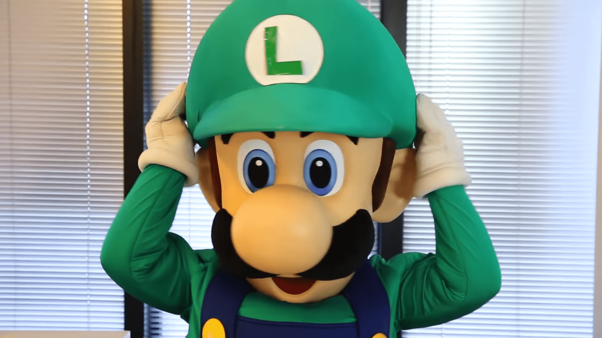 Luigi Causes Chaos and Creates New 2DS