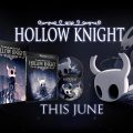 Hollow Knight IndieBox Featured