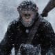 Review: War For The Planet Of The Apes – A Bleak Yet Wonderful Conclusion