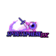 Spiritsphere DX PAX East Preview