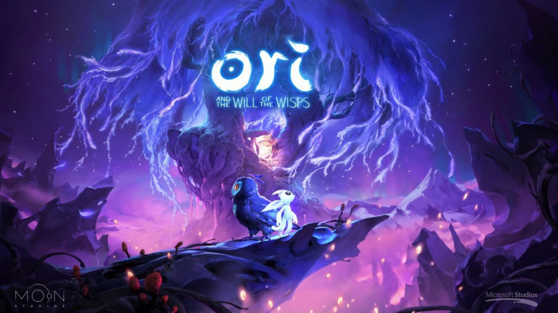 "Ori and the Will of the Wisps," Moon Studios, Xbox Briefing Announcement- Main Art