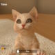 Calling All Pet Sim Fans! Little Friends Dogs & Cats Comes to Nintendo Switch This Spring