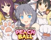 Senran Kagura: Peach Ball (Switch) Review