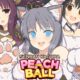 Senran Kagura: Peach Ball (Switch) Review